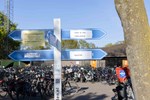 PhotoRinha_DorpsloopAchterveld2026_LR_FB-7106.jpg