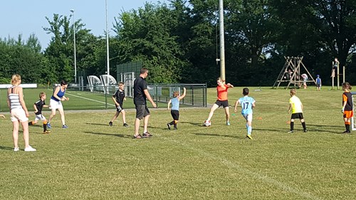20180606_184453.jpg