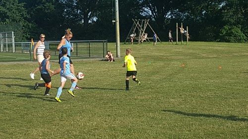 20180606_184717.jpg