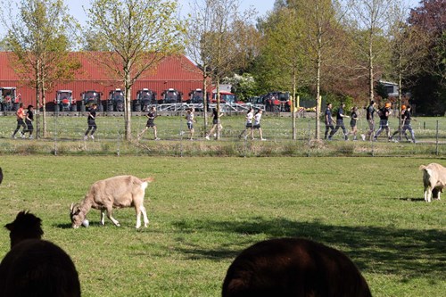 FotoRinha_DorpsloopAchterveld2026_LR_FB-6850.jpg